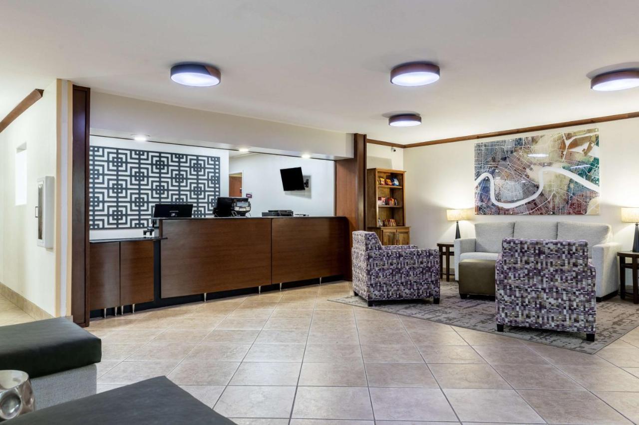Western Morgan 2*